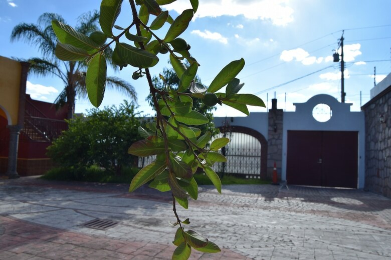Apartamentos Casa Palmas