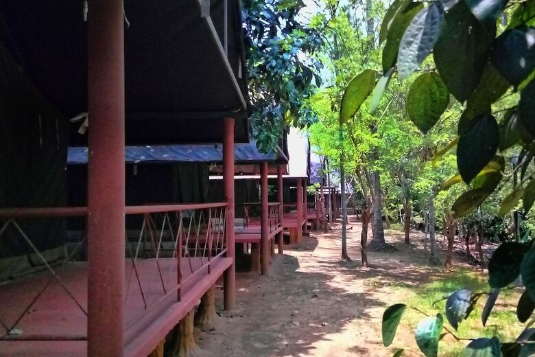 Hornbill Camp