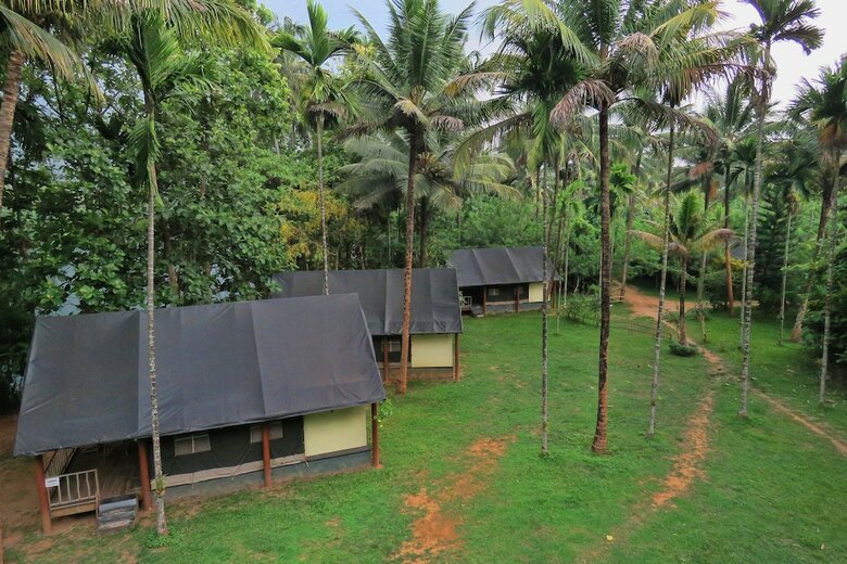Hornbill Camp