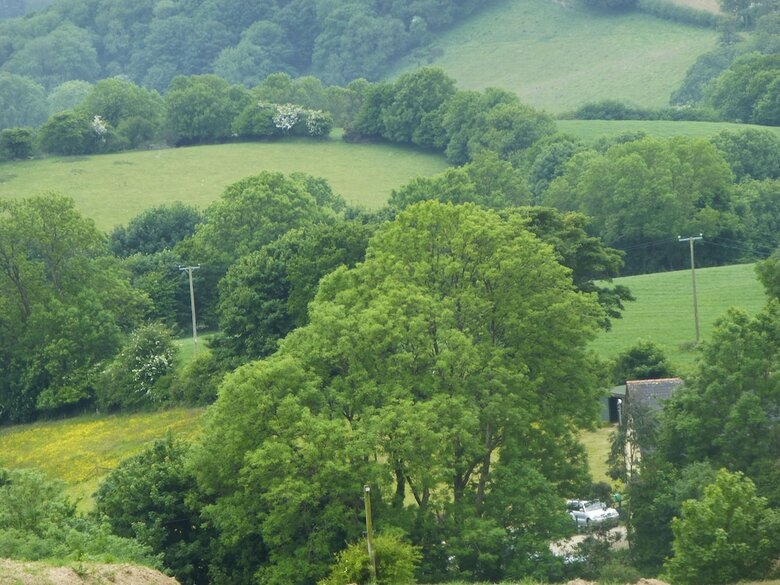 Coedllys Country House B&B
