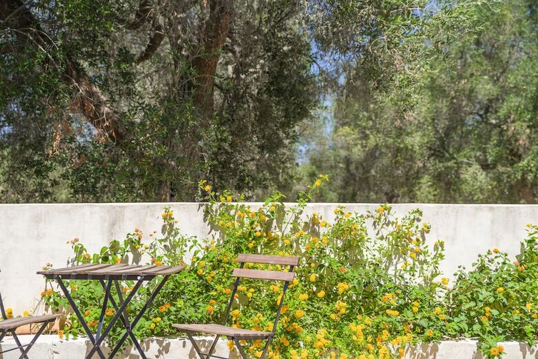 Bed & Breakfast Masseria La Gresca