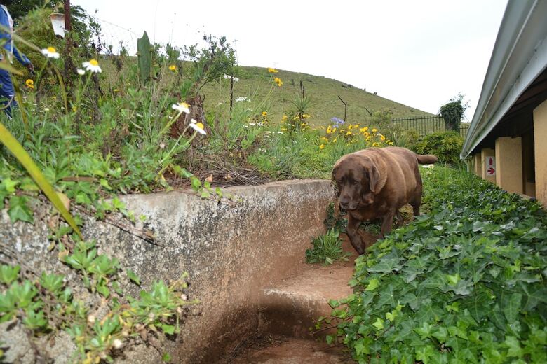 Posada Thaba Tsweni Lodge And Safaris