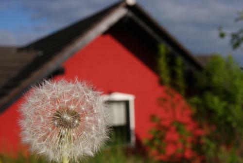 Landhotel Berggastst�tte Bickenriede