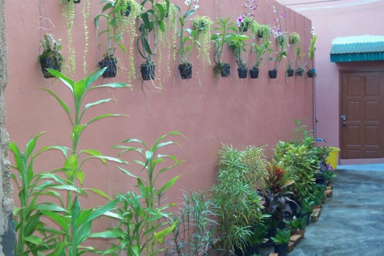 Hotel D's Corner & Guesthouse