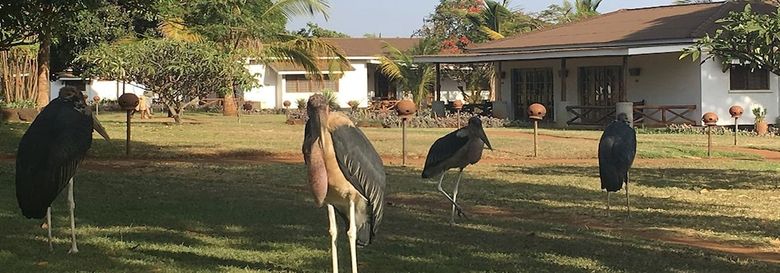 Posada Ameg Lodge Kilimanjaro