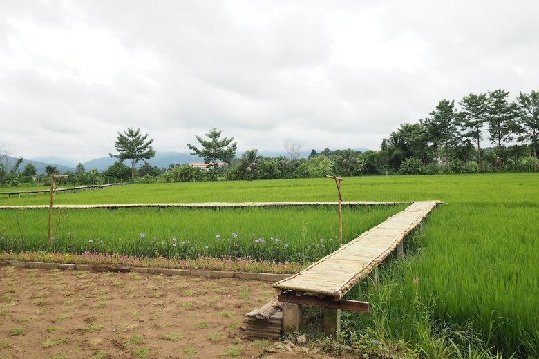 Hotel Ton Lang Homestay