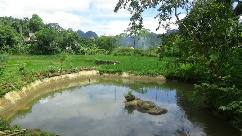Hostal Pu Luong Homestay
