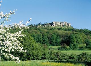 Best Western Plus Kurhotel An Der Obermaintherme