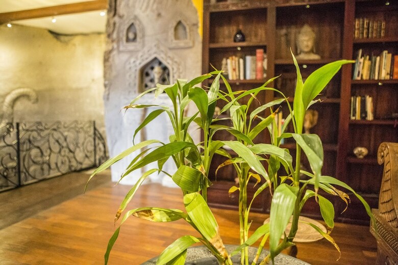 Apartamento Avalon Ubud Villas