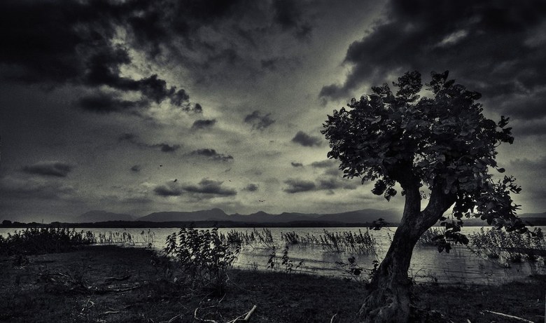 Posada Pugdundee Safaris Kings Lodge