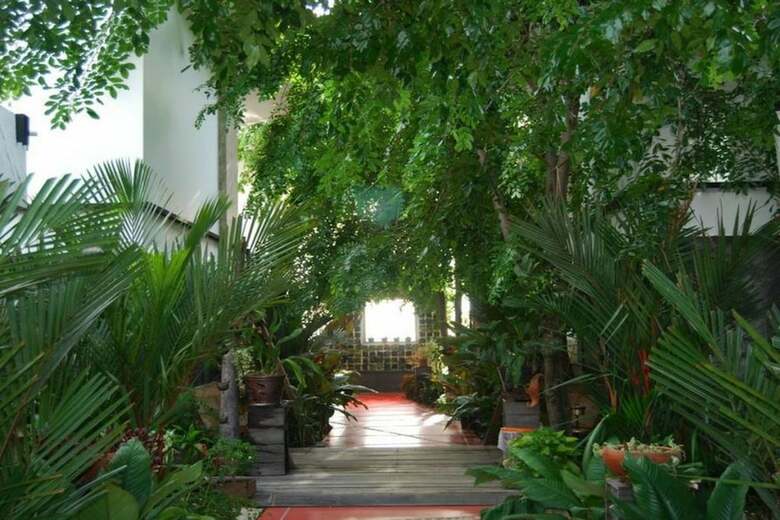 Hotel Papa Monkey Resort