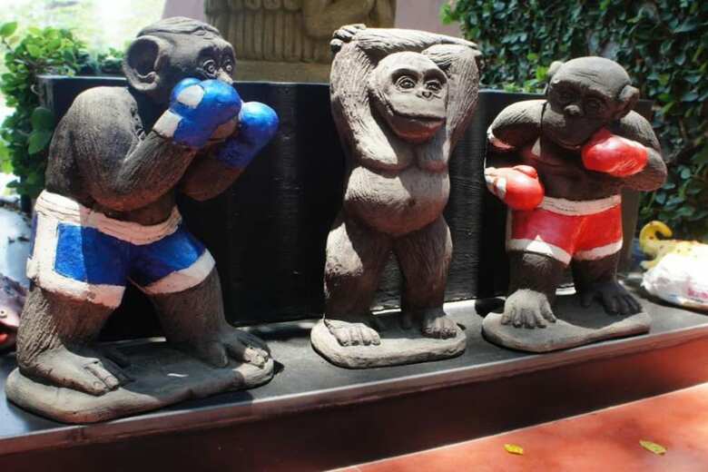 Hotel Papa Monkey Resort
