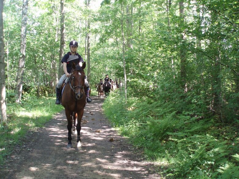 Tingsryd Resort