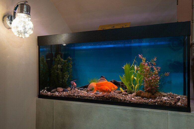 Hotel One Sea Boutique Apartment