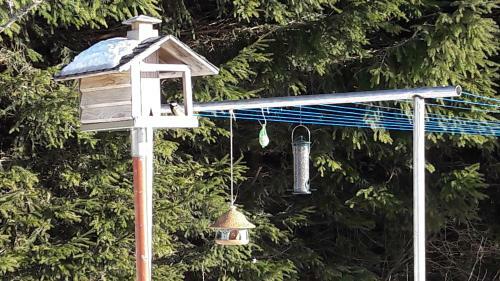 Apartamento Ferienwohnung Hauptmann