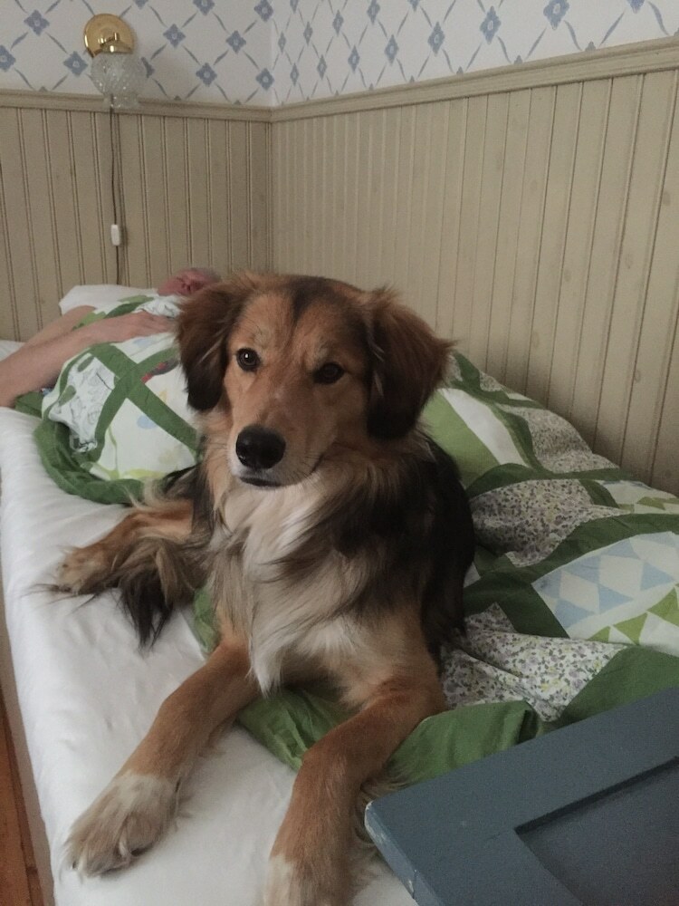 En�ngers Bed And Breakfast