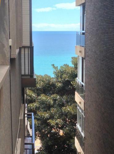 Apartamentos Little Sunny House 1