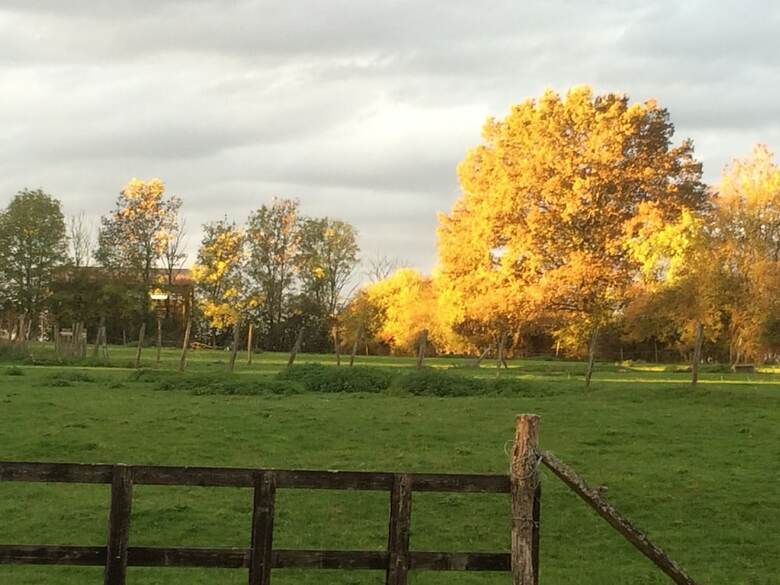 Bed & Breakfast L'or�e Des Vignes