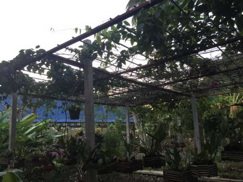 Hotel Kruamaeurai Homestay