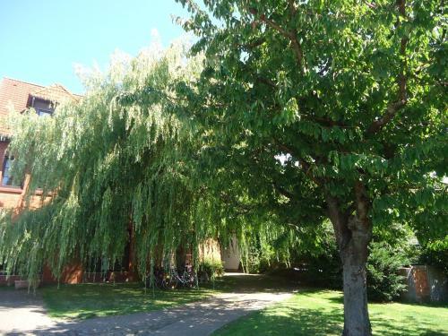 Hostal Hotel Wilhelmshof