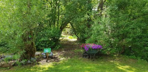 Apartamento Naturferienhaus Luppbodem�hle