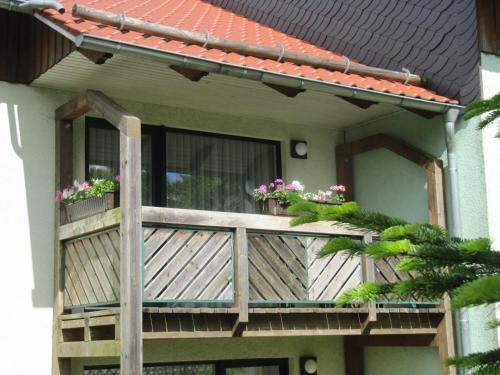 Apartamentos Ferienanlage Harzfreunde