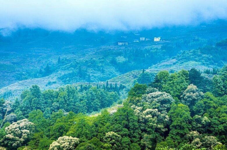 Hostal Huangshan Castle In The Sky Hotel