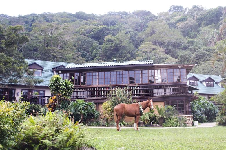 Posada Umtamvuna River Lodge