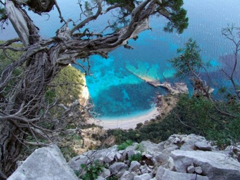 Apartamento Paradiso Degli Ulivi