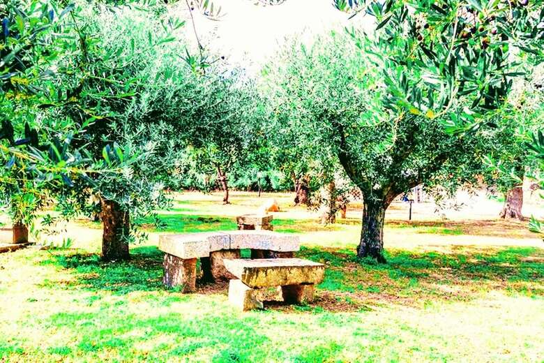 Apartamento Paradiso Degli Ulivi