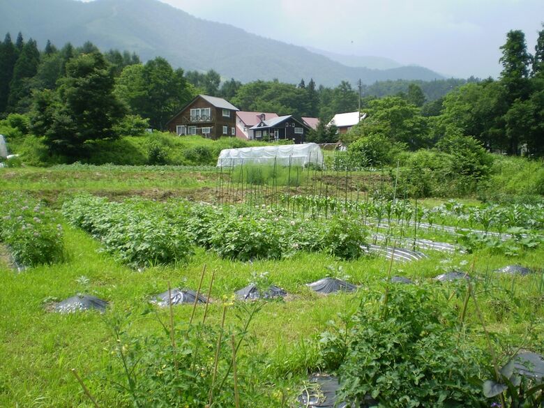 Bed & Breakfast Pension Chauchau
