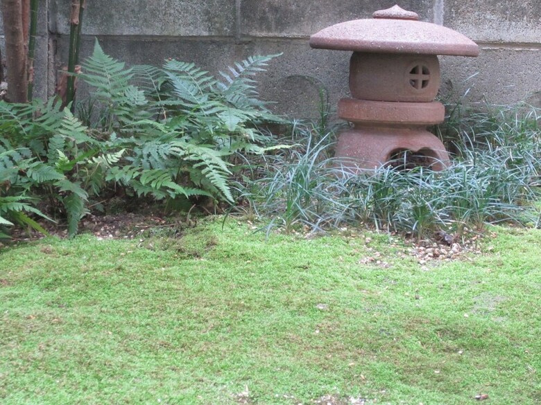Hostal Enman Guest House Osaka - Hostel
