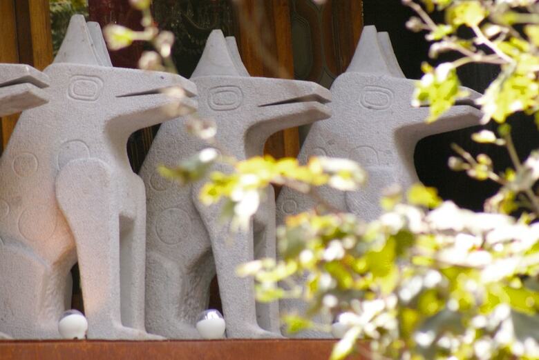 Hotel Dolce Lobo Boutique Stay