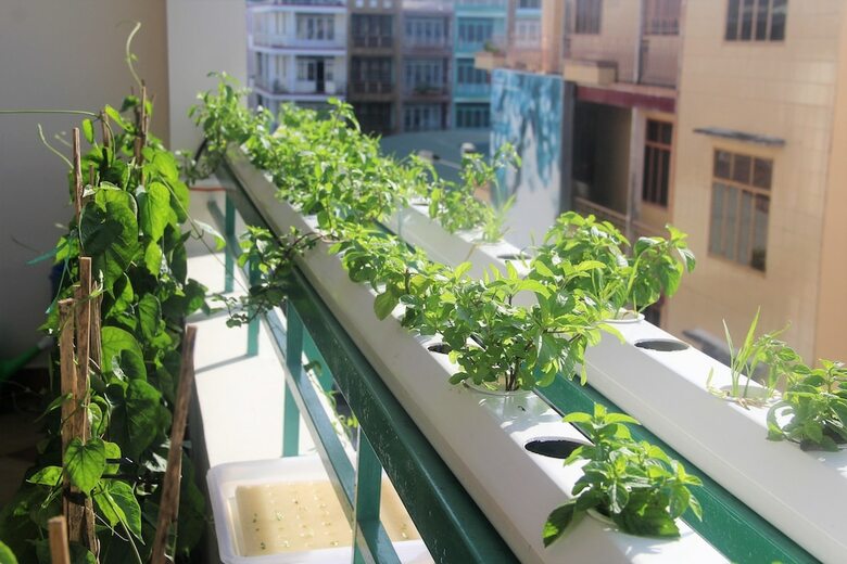 Hotel Winter Spring Homestay
