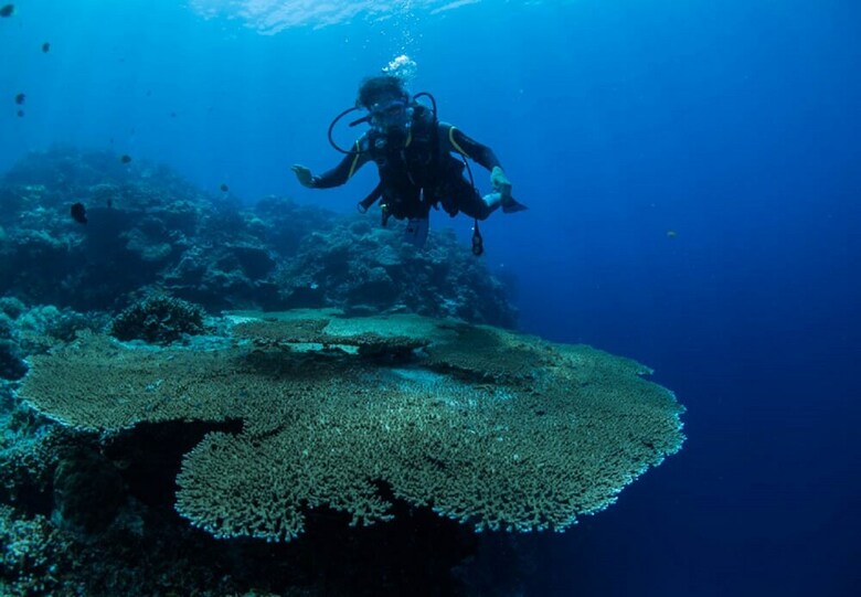 Hotel Sogod Bay Scuba Resort