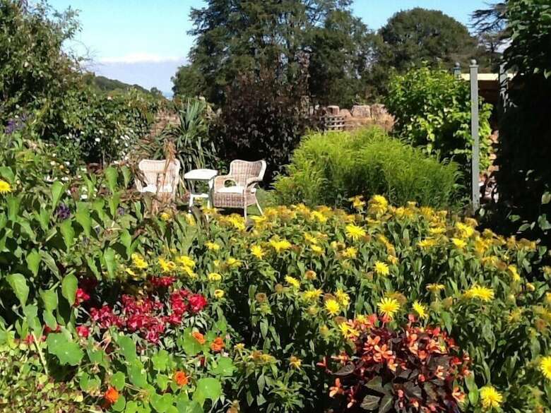 Bed & Breakfast Brayne Court