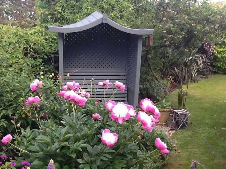 Bed & Breakfast Brayne Court