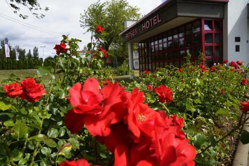 Rosen Hotel Sangerhausen