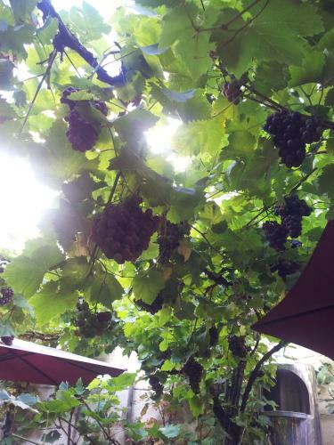 Hostal Weingut Haxel