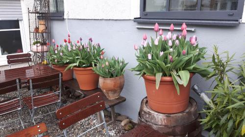 Hotel Gasthof Traubenbr�u