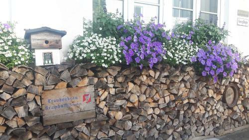 Hotel Gasthof Traubenbr�u