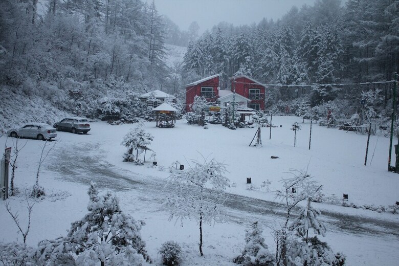 Pension Heidi Haus