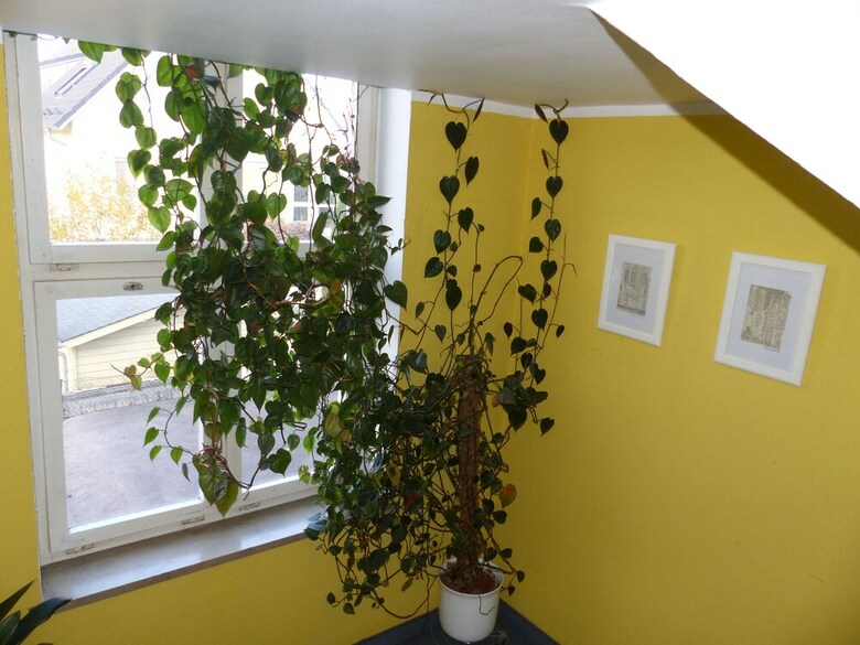 Hotel Pension K�berl