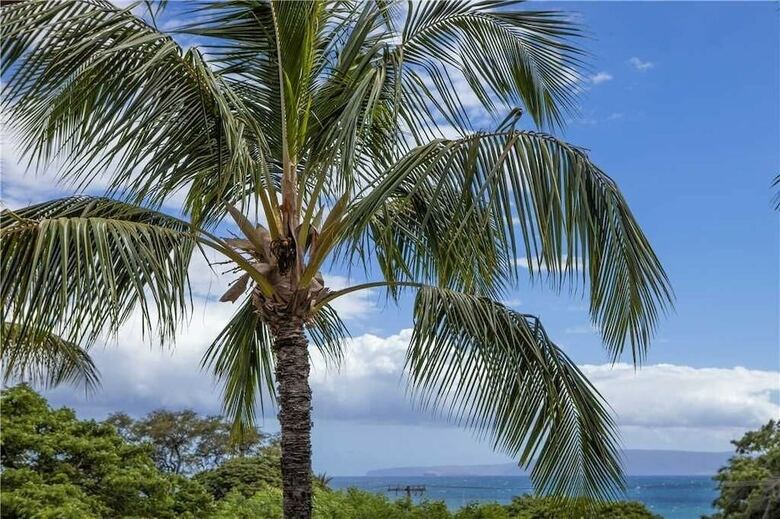 Maui Vista 1225 - 1 Br Condo
