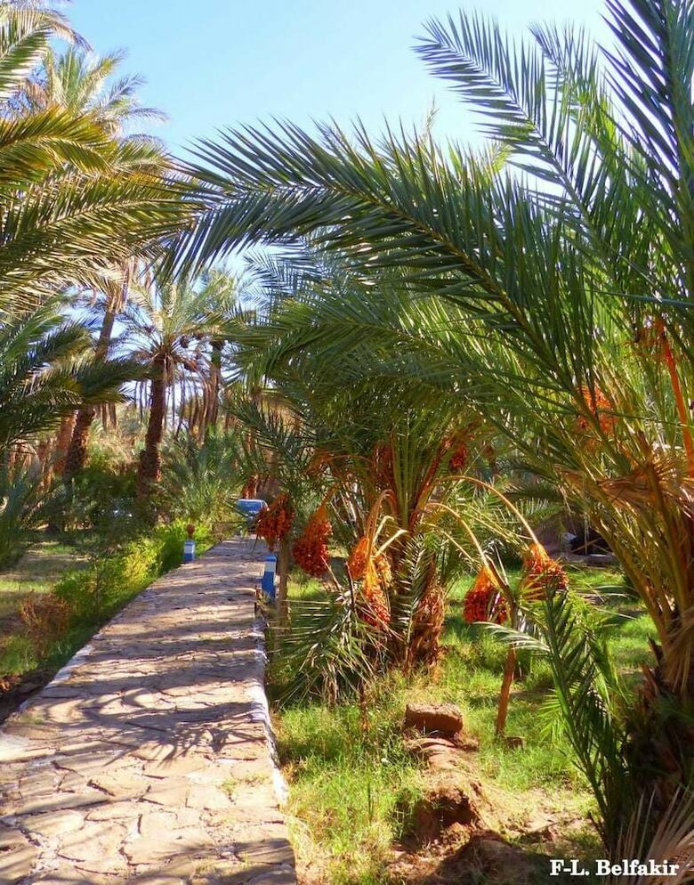 Hotel Riad Tagmadart Ferme D'h�te