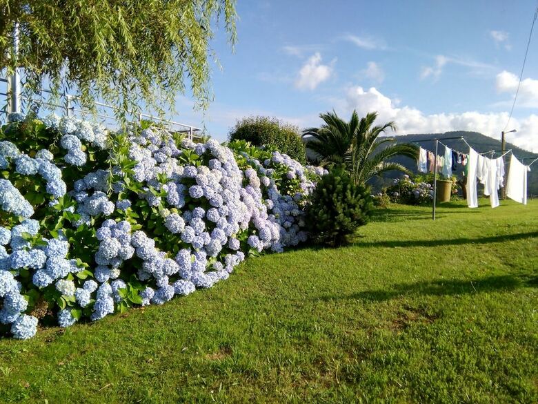 Agroturismo Las Golondrinas