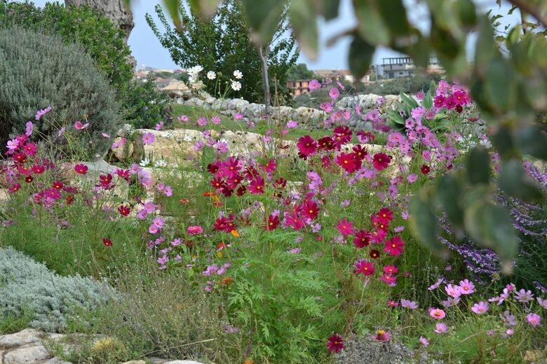 Hotel Antica Masseria Timparuci