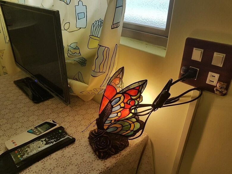 Bed & Breakfast Hostel Green520