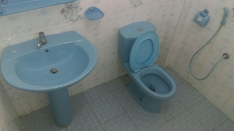 Hotel Aluthgedara Guest House