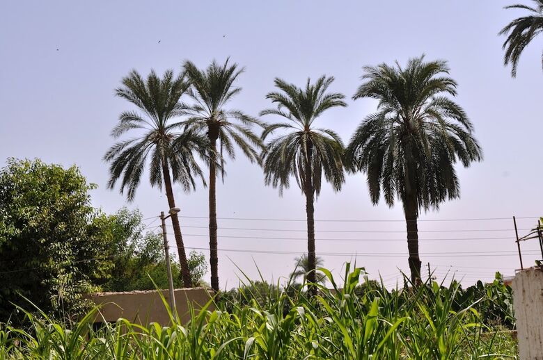 El Nakhil Hotel